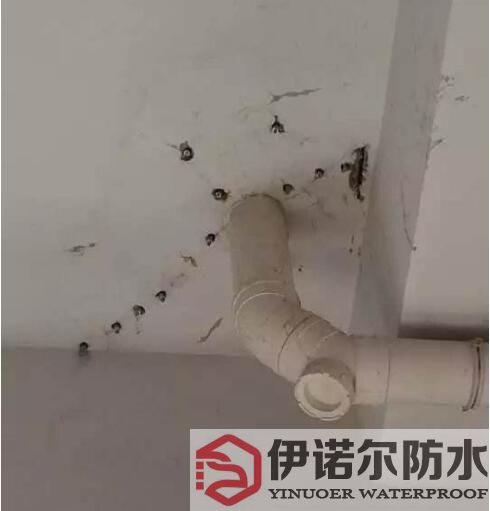 張家港蘇州防水工程的基本內(nèi)容是什么？
